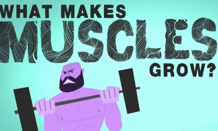 What Makes Muscles Grow?